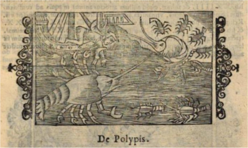 old style medieval drawing of sea monsters fighting, in this case giant crawfish, and in the background, a white guy falls off a ship. 