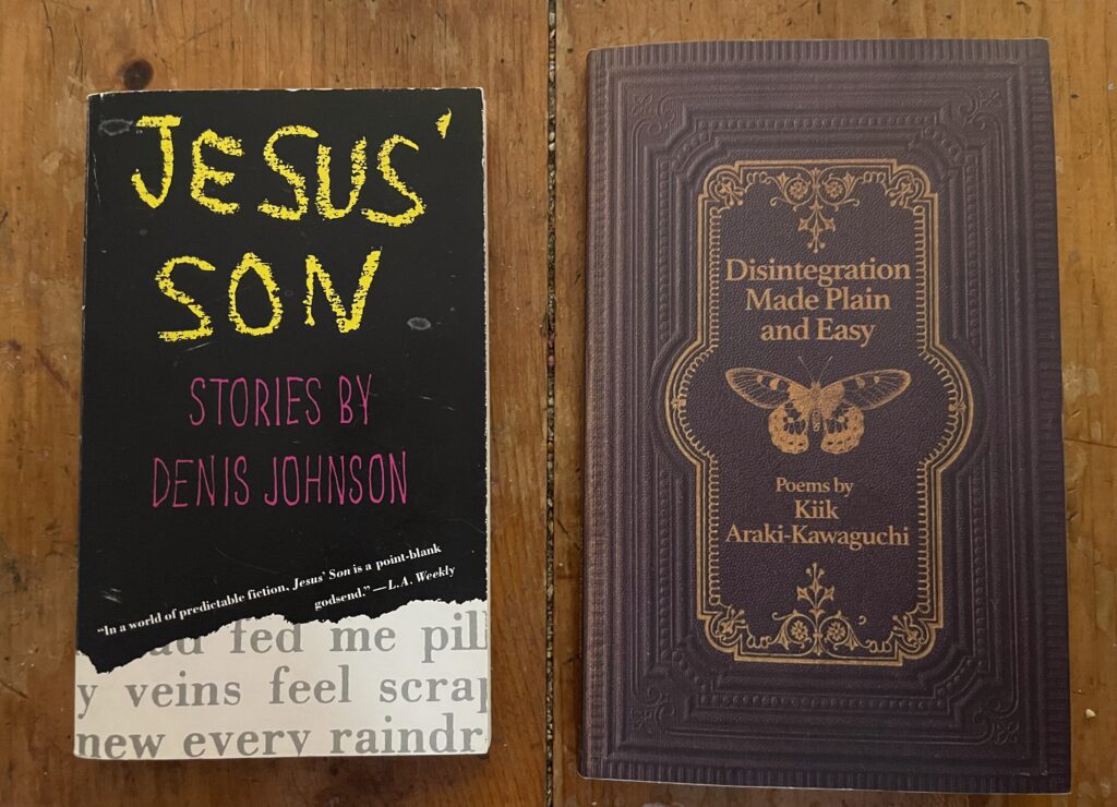 Jesus’ Son by Denis Johnson and Disintegration Made Plain And Easy by Kiik Araki-Kawaguchi