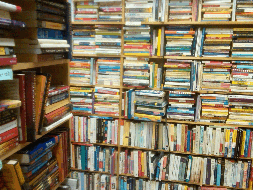 bookshelves piled high with books in a used bookstore