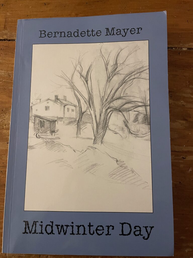 Midwinter's Day by Bernadette Mayer