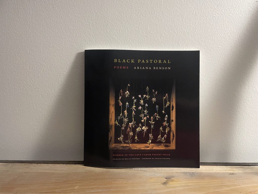 Black Pastoral by Ariana Benson