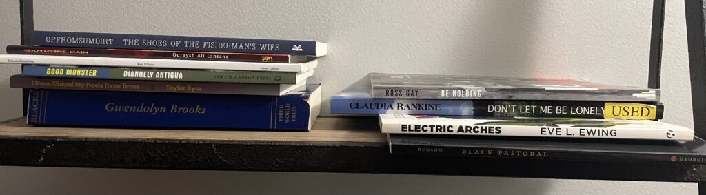 a shelf full of books, each book discussed in this column