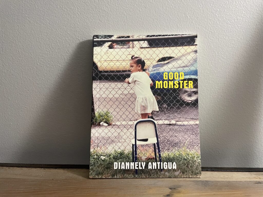 Good Monster by Diannely Antigua