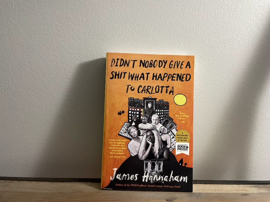 Didn't Nobody Give A Shit What Happened To Carlotta by James Hannaham