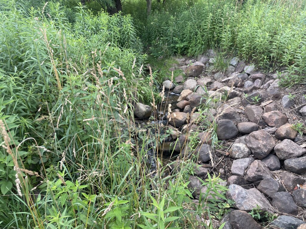 some shrubs and prairie grass and a pile of rocks along a very small stream