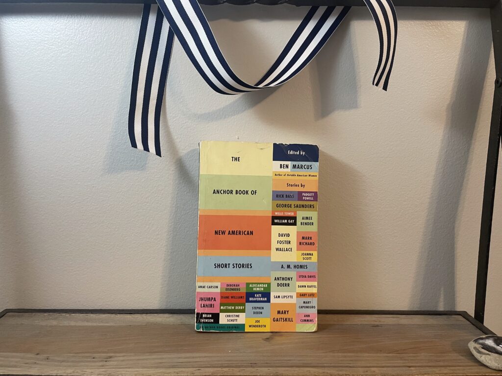 a book, The Anchor Book of New American Short Stories, on a shelf